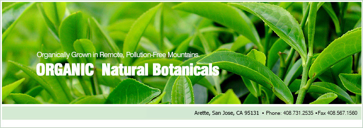 A natural way to stay healthy